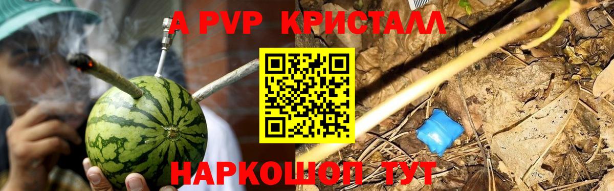 A-PVP СК КРИС Елабуга